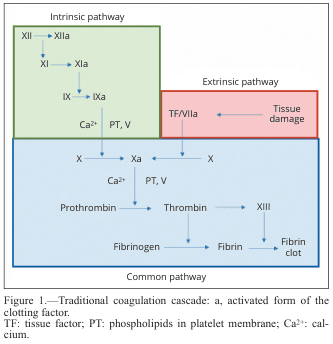 Summary : This diagram illustrates the traditional coagulation cascade, detailing the sequence of events and factors involved in blood clotting via the intrinsic, extrinsic, and common pathways.
flowchart:
# Pathways :
• Intrinsic pathway (green box): Initiated by factor XII, proceeds through XI, IX, and VIII, with activation steps indicated by "a" (e.g., XIIa, XIa, IXa).
• Extrinsic pathway (red box): Initiated by tissue damage, which activates tissue factor (TF) and factor VIIa.
• Common pathway (blue box): Both intrinsic and extrinsic pathways converge at factor X, leading to the activation of prothrombin to thrombin, which then converts fibrinogen to fibrin, forming a fibrin clot.
# Nodes :
• XII → XIIa (Intrinsic)
• XI → XIa (Intrinsic)
• IX → IXa (Intrinsic)
• Ca²⁺, PT, V (Intrinsic, Common)
• TF/VIIa (Extrinsic)
• Tissue damage (Extrinsic)
• X → Xa (Common)
• Prothrombin → Thrombin (Common)
• Fibrinogen → Fibrin (Common)
• XIII (Common)
• Fibrin clot (Common)
# Connectors :
• Arrows indicate the direction of activation or conversion between factors.
• Intrinsic and extrinsic pathways both feed into the activation of factor X in the common pathway.
• Ca²⁺ and PT, V are required cofactors at specific steps.
# Layout :
• Three main colored sections: green (intrinsic, top left), red (extrinsic, top right), blue (common, bottom).
• Flow proceeds from top (initiation) to bottom (clot formation).
• Arrows show sequential activation and convergence of pathways.
# Analysis :
• The diagram clearly separates the intrinsic and extrinsic initiation mechanisms, both converging on the common pathway at factor X.
• The cascade is highly sequential, with each activated factor catalyzing the next step.
• Calcium ions (Ca²⁺) and phospholipids (PT) are essential cofactors at multiple steps.
• The final outcome is the formation of a stable fibrin clot, highlighting the coordinated nature of the coagulation process.