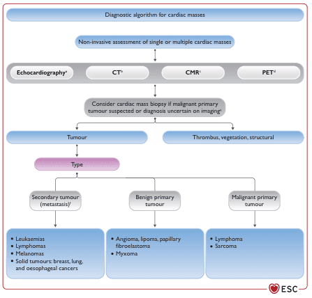 Summary : This flowchart presents a diagnostic algorithm for evaluating cardiac masses, detailing the non-invasive assessment methods, decision points, and classification of cardiac masses into tumours (with subtypes) and non-tumour structural abnormalities.
flowchart:
# Nodes :
• Diagnostic algorithm for cardiac masses (rounded rectangle)
• Non-invasive assessment of single or multiple cardiac masses (rounded rectangle)
• Echocardiographyᵃ (rounded rectangle)
• CTᵇ (rounded rectangle)
• CMRᶜ (rounded rectangle)
• PETᵈ (rounded rectangle)
• Consider cardiac mass biopsy if malignant primary tumour suspected or diagnosis uncertain on imagingᵉ (rounded rectangle)
• Tumour (rounded rectangle)
• Thrombus, vegetation, structural (rounded rectangle)
• Type (rounded rectangle)
• Secondary tumour (metastasis)ᶠ (rectangle)
• Benign primary tumour (rectangle)
• Malignant primary tumour (rectangle)
• Leukaemias, Lymphomas, Melanomas, Solid tumours: breast, lung, and oesophageal cancers (rectangle, bulleted list)
• Angioma, lipoma, papillary fibroelastoma, Myxoma (rectangle, bulleted list)
• Lymphoma, Sarcoma (rectangle, bulleted list)
# Connectors :
• Top-down arrows from "Diagnostic algorithm for cardiac masses" to "Non-invasive assessment of single or multiple cardiac masses".
• Horizontal arrows from "Non-invasive assessment..." to each imaging modality: Echocardiography, CT, CMR, PET.
• Downward arrows from each imaging modality to "Consider cardiac mass biopsy if malignant primary tumour suspected or diagnosis uncertain on imaging".
• Downward arrow from biopsy decision to two branches: "Tumour" and "Thrombus, vegetation, structural".
• From "Tumour", downward arrow to "Type".
• From "Type", three branches to "Secondary tumour (metastasis)", "Benign primary tumour", and "Malignant primary tumour".
• Each tumour type connects downward to its respective list of example conditions.
# Layout :
• Vertical flow from top (diagnostic algorithm) to bottom (specific tumour types).
• Horizontal row for imaging modalities.
• Branching structure for tumour classification.
• Parallel branch for non-tumour findings (thrombus, vegetation, structural).
# Analysis :
• The flowchart provides a clear stepwise approach for cardiac mass evaluation, starting with non-invasive imaging and progressing to biopsy if malignancy is suspected or diagnosis is unclear.
• Cardiac masses are classified into tumours (with further division into secondary/metastatic, benign primary, and malignant primary) and non-tumour structural abnormalities.
• Example conditions are listed for each tumour subtype, highlighting common malignancies and benign entities.
• The algorithm emphasizes the importance of imaging in initial assessment and the selective use of biopsy for uncertain or potentially malignant cases.