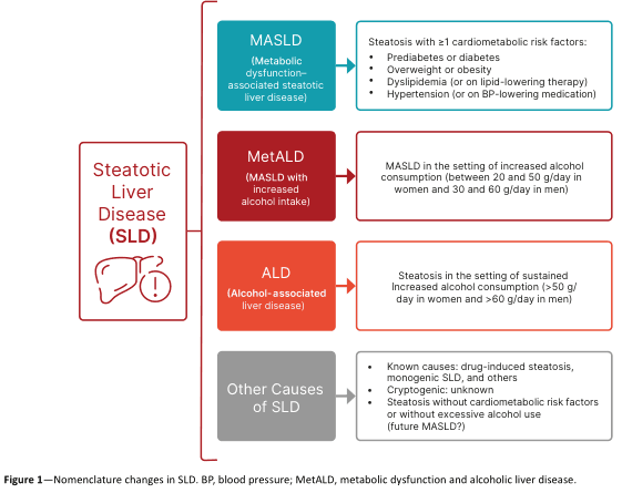 Summary : This flowchart presents the updated nomenclature and classification of Steatotic Liver Disease (SLD), breaking it down into four main categories based on underlying causes and risk factors, including metabolic dysfunction, alcohol intake, and other etiologies.
flowchart:
# Nodes :
• Steatotic Liver Disease (SLD) (main category, leftmost node with icon)
• MASLD (Metabolic dysfunction–associated steatotic liver disease) (blue rectangle)
– Steatosis with ≥1 cardiometabolic risk factors:
• Prediabetes or diabetes
• Overweight or obesity
• Dyslipidemia (or on lipid-lowering therapy)
• Hypertension (or on BP-lowering medication)
• MetALD (MASLD with increased alcohol intake) (dark red rectangle)
– MASLD in the setting of increased alcohol consumption (between 20 and 50 g/day in women and 30 and 60 g/day in men)
• ALD (Alcohol-associated liver disease) (orange rectangle)
– Steatosis in the setting of sustained increased alcohol consumption (>50 g/day in women and >60 g/day in men)
• Other Causes of SLD (gray rectangle)
– Known causes: drug-induced steatosis, monogenic SLD, and others
– Cryptogenic: unknown
– Steatosis without cardiometabolic risk factors or without excessive alcohol use (future MASLD?)
# Connectors :
• SLD branches rightward into four categories: MASLD, MetALD, ALD, and Other Causes of SLD.
• Each category is connected with a rightward arrow from SLD.
• MetALD and ALD are sequentially related by alcohol intake thresholds.
# Layout :
• Vertical stack of four colored rectangles (MASLD, MetALD, ALD, Other Causes of SLD) to the right of the main SLD node.
• Arrows point from the main SLD node to each category.
• Explanatory bullet points within each rectangle.
# Analysis :
• The flowchart clarifies the new classification of SLD, distinguishing between metabolic and alcohol-related causes.
• MASLD is defined by the presence of metabolic risk factors, while MetALD and ALD are differentiated by levels of alcohol intake.
• "Other Causes" captures less common or unknown etiologies.
• The structure emphasizes the importance of both metabolic and alcohol-related factors in the diagnosis and categorization of steatotic liver disease.