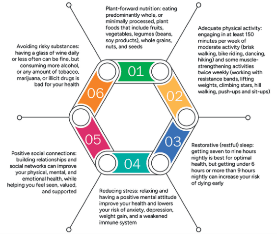 Summary : This diagram presents six interconnected pillars of lifestyle medicine for optimal health, each described with specific recommendations and benefits.
flowchart:
# Nodes :
• 01 (green rounded rectangle): Plant-forward nutrition: eating predominantly whole, or minimally processed, plant foods that include fruits, vegetables, legumes (beans, soy products), whole grains, nuts, and seeds.
• 02 (yellow rounded rectangle): Adequate physical activity: engaging in at least 150 minutes per week of moderate activity (brisk walking, bike riding, dancing, hiking) and some muscle-strengthening activities twice weekly (working with resistance bands, lifting weights, climbing stairs, hill walking, push-ups and sit-ups).
• 03 (blue rounded rectangle): Restorative (restful) sleep: getting seven to nine hours nightly is best for optimal health, but getting under 6 hours or more than 9 hours nightly can increase your risk of dying early.
• 04 (teal rounded rectangle): Reducing stress: relaxing and having a positive mental attitude improve your health and lowers your risk of anxiety, depression, weight gain, and a weakened immune system.
• 05 (pink rounded rectangle): Positive social connections: building relationships and social networks can improve your physical, mental, and emotional health, while helping you feel seen, valued, and supported.
• 06 (orange rounded rectangle): Avoiding risky substances: having a glass of wine daily or less often can be fine, but consuming more alcohol, or any amount of tobacco, marijuana, or illicit drugs is bad for your health.
# Connectors :
• The six nodes are arranged in a hexagonal loop, each connected to its adjacent nodes, visually representing the interconnectedness of these lifestyle pillars.
# Layout :
• Circular/hexagonal arrangement with each node equally spaced around the central hexagon.
• Each node is color-coded and numbered for clarity.
# Analysis :
• The diagram emphasizes a holistic approach to health, where nutrition, physical activity, sleep, stress management, social connections, and substance avoidance are all equally important and interrelated. No single pillar is isolated; optimal health requires attention to all six areas.