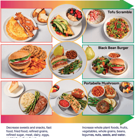 Summary : This figure visually compares typical Western-style meals with more plant-based alternatives for breakfast, lunch, and dinner, illustrating a dietary shift from foods high in sweets, snacks, fast food, fried food, refined grains, refined sugar, meat, dairy, and eggs toward meals rich in whole plant foods, fruits, vegetables, whole grains, beans, legumes, nuts, seeds, and water.
photo:
# Layout & Structure :
• The figure is divided into three horizontal sections, each representing a meal: breakfast (top), lunch (middle), and dinner (bottom).
• Each section contains three columns: left (red border, less healthy/Western-style), center (yellow border, transitional), and right (green border, plant-based/healthier).
• Each meal section is labeled with a plant-based dish name in the green column: "Tofu Scramble" (breakfast), "Black Bean Burger" (lunch), and "Portabella Mushroom" (dinner).
# Meal Comparisons :
## Breakfast :
• Left (red): Omelet with bacon, toast, and a cookie.
• Center (yellow): Vegetable omelet with avocado toast and a bowl of berries.
• Right (green): Tofu scramble with vegetables, oatmeal with strawberries, and a bowl of mixed fruit.
## Lunch :
• Left (red): Hamburger with potato chips and chocolate chip cookies.
• Center (yellow): Grilled chicken sandwich with asparagus, baked beans, and a pear.
• Right (green): Black bean burger with whole grain bun, side salad, and a pear.
## Dinner :
• Left (red): Meatloaf with mashed potatoes, asparagus, and a slice of cheesecake.
• Center (yellow): Salmon fillet with asparagus, brown rice, and a bowl of fruit.
• Right (green): Portabella mushroom steak with baked beans, asparagus, and a bowl of mixed fruit.
# Dietary Guidance (Text at Bottom) :
• Left (red): "Decrease sweets and snacks, fast food, fried food, refined grains, refined sugar, meat, dairy, eggs."
• Right (green): "Increase whole plant foods, fruits, vegetables, whole grains, beans, legumes, nuts, seeds, and water."
# Design Encodings :
• Color-coded borders (red = less healthy, yellow = transitional, green = more plant-based/healthy).
• Each meal is visually represented with realistic food photography.
• Plant-based meal names are labeled in the green column.
# Analysis :
• The figure visually communicates a dietary transition from Western-style meals high in animal products, refined grains, and sweets toward meals centered on whole plant foods.
• The color gradient (red to green) reinforces the healthfulness spectrum.
• The plant-based options (right column) consistently feature more fruits, vegetables, legumes, and whole grains, while the Western-style options (left column) are higher in processed foods, animal products, and sweets.
• The central column offers intermediate choices, suggesting a gradual shift is possible.