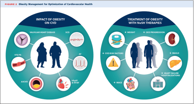 Summary : This figure presents two circular diagrams comparing the impact of obesity on cardiovascular disease (CVD) and the effects of treating obesity with NuSH therapies on various health outcomes.
infographic:
# Left Circle: Impact of Obesity on CVD :
• Central silhouette of two adults.
• Surrounding icons and labels for:
– Valvular Heart Disease (heart valve illustration)
– SCD (Sudden Cardiac Death, ECG tracing)
– AF (Atrial Fibrillation, ECG tracing)
– HFpEF & HFrEF (Heart Failure with preserved/reduced ejection fraction, heart muscle illustration)
– ASCVD (Atherosclerotic Cardiovascular Disease, heart illustration)
– VTE/PE (Venous Thromboembolism/Pulmonary Embolism, blood vessel illustration)
# Right Circle: Treatment of Obesity with NuSH Therapies :
• Central silhouette of two adults.
• Surrounding icons and labels for:
– Weight (scale and measuring tape)
– CKD Progression (Chronic Kidney Disease, kidney illustration)
– MASLD (Metabolic Dysfunction-Associated Steatotic Liver Disease, liver illustration)
– Heart Failure Hospitalizations (hospital building)
– MACE (Major Adverse Cardiovascular Events, heart illustration)
– CVD Risk Factors (triangle warning sign)
# Design Encodings :
• Circular layout for both diagrams.
• Icons visually represent each condition or outcome.
• Consistent color palette (teal, blue, white, and accent colors for organs).
• Central silhouettes emphasize the human impact.
# Analysis :
• The left diagram highlights multiple cardiovascular and thromboembolic conditions associated with obesity.
• The right diagram shows that NuSH therapies for obesity target a broad range of health outcomes, including weight reduction, slowing CKD progression, reducing liver disease, lowering heart failure hospitalizations, decreasing major adverse cardiovascular events, and mitigating CVD risk factors.
• The visual structure emphasizes the multifaceted impact of obesity and the potential benefits of targeted therapies.