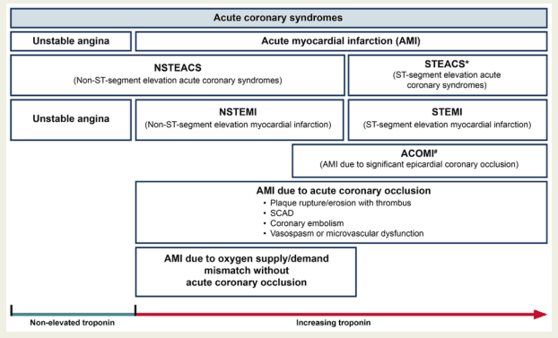 Summary : This diagram classifies acute coronary syndromes (ACS) based on clinical presentation, ECG findings, and troponin levels, distinguishing between unstable angina, non-ST-segment elevation, and ST-segment elevation myocardial infarction, and further subdividing by underlying pathophysiology.
flowchart:
# Main Categories :
β’ Acute coronary syndromes (top-level box).
β’ Two main branches: Unstable angina and Acute myocardial infarction (AMI).
# Subcategories :
β’ Under Acute myocardial infarction (AMI):
β NSTEACS (Non-ST-segment elevation acute coronary syndromes)
β STEACS* (ST-segment elevation acute coronary syndromes)
β’ Under NSTEACS:
β Unstable angina
β NSTEMI (Non-ST-segment elevation myocardial infarction)
β’ Under STEACS*:
β STEMI (ST-segment elevation myocardial infarction)
β ACOMI# (AMI due to significant epicardial coronary occlusion)
# Pathophysiological Mechanisms :
β’ AMI due to acute coronary occlusion:
β Plaque rupture/erosion with thrombus
β SCAD (Spontaneous coronary artery dissection)
β Coronary embolism
β Vasospasm or microvascular dysfunction
β’ AMI due to oxygen supply/demand mismatch without acute coronary occlusion
# Troponin Gradient :
β’ A horizontal arrow at the bottom labeled from "Non-elevated troponin" (left, green) to "Increasing troponin" (right, red), indicating the spectrum of troponin elevation across the syndromes.
# Layout :
β’ Hierarchical, left-to-right and top-to-bottom arrangement.
β’ Boxes are nested to show relationships (e.g., NSTEMI is under both NSTEACS and AMI).
β’ Pathophysiological mechanisms are shown as underlying causes for AMI.
Analysis :
β’ The diagram visually organizes ACS into unstable angina and AMI, with further division by ECG findings (ST-segment elevation or not) and underlying cause (occlusion vs. supply/demand mismatch).
β’ Troponin levels increase from unstable angina (non-elevated) to STEMI/ACOMI (markedly elevated).
β’ The flowchart clarifies that not all AMI is due to acute coronary occlusion, and highlights the importance of both clinical and biochemical markers in diagnosis.
