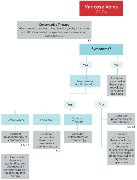 Summary : This flowchart outlines the clinical management pathway for patients with varicose veins (C2–C4), detailing decision points based on symptoms, diagnostic findings, and recommended therapies.
flowchart:
# Nodes :
• Varicose Veins C2–C4 (rectangle, red)
• Conservative Therapy (rectangle, grey): "Compression stockings, leg elevation, weight loss, rule out PAD if warranted by symptoms and examination. Consider DUS."
• Symptoms? (rectangle, blue)
• Yes (branch)
• No (branch)
• DUS demonstrating significant reflux (rectangle, blue)
• Continue conservative therapy and reevaluate at routine checkups (rectangle, grey)
• GSV/ASV/SSV (rectangle, blue)
• Perforator (rectangle, blue)
• Varicose Tributary (rectangle, blue)
• Consider ablation therapy to GSV/ASV/SSV (rectangle, grey)
• For C4 consider deep vein studies (iliac vein obstruction) if symptoms persist despite ablative therapy (rectangle, grey)
• Continue conservative therapy and reevaluate at routine checkups (rectangle, grey)
• Consider phlebectomy or sclerotherapy (rectangle, grey)
• Consider phlebectomy or sclerotherapy (rectangle, grey)
• Continue conservative therapy including weight loss and reevaluate at routine checkups. For C4 consider deep vein studies if significant symptoms (rectangle, grey)
# Connectors :
• Main flow starts at "Varicose Veins C2–C4" → "Conservative Therapy"
• "Conservative Therapy" → "Symptoms?"
• "Symptoms?" branches to "Yes" and "No"
• "No" → "Continue conservative therapy and reevaluate at routine checkups"
• "Yes" → "DUS demonstrating significant reflux"
• "DUS demonstrating significant reflux" branches to "GSV/ASV/SSV", "Perforator", and "Varicose Tributary"
• "GSV/ASV/SSV" → "Consider ablation therapy to GSV/ASV/SSV" → "For C4 consider deep vein studies..."
• "Perforator" → "Continue conservative therapy and reevaluate at routine checkups"
• "Varicose Tributary" → "Consider phlebectomy or sclerotherapy"
• "DUS demonstrating significant reflux" (No branch) → "Consider phlebectomy or sclerotherapy" and "Continue conservative therapy including weight loss and reevaluate at routine checkups..."
# Layout :
• Top-down hierarchical structure.
• Initial node at top, followed by therapy, then a decision diamond for symptoms.
• Branches split left (Yes) and right (No), with further subdivisions for diagnostic findings and therapy options.
• Grey boxes indicate therapy recommendations; blue boxes indicate decision or diagnostic steps.
• Some nodes reference guideline numbers (e.g., 1.1, 2.1, 3.1, 4.1, 5.1, 6.2).
# Analysis :
• The flowchart provides a clear, stepwise approach for managing varicose veins, emphasizing conservative therapy as the initial step.
• Symptom presence and DUS findings guide further intervention, with ablation, phlebectomy, or sclerotherapy considered for significant reflux or tributary involvement.
• Routine reevaluation and consideration of deep vein studies for persistent symptoms are highlighted, especially for C4 cases.
• The structure supports evidence-based, individualized patient care, with decision points based on clinical findings and response to therapy.