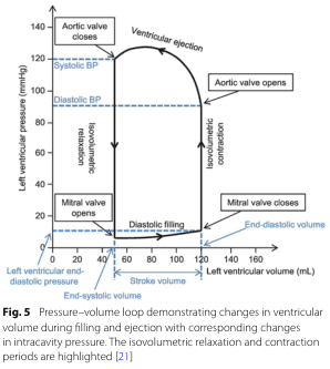 Summary : This figure shows a pressure–volume loop for the left ventricle, illustrating how ventricular volume and pressure change during the cardiac cycle, with key phases and valve events annotated. The isovolumetric relaxation and contraction periods are highlighted, and systolic/diastolic blood pressures are marked.
pressure–volume loop diagram:
# Title & Axes :
• No explicit title on the figure, but the legend describes it as a "Pressure–volume loop demonstrating changes in ventricular volume during filling and ejection with corresponding changes in intracavity pressure."
• X-axis: "Left ventricular volume (mL)" with tick marks at 0, 20, 40, 60, 80, 100, 120, 140, 160.
• Y-axis: "Left ventricular pressure (mmHg)" with tick marks at 0, 20, 40, 60, 80, 100, 120, 140.
• Additional axis labels: "Left ventricular end-diastolic pressure" (blue, left), "End-diastolic volume" (blue, bottom right), "Stroke volume" (black, bottom center).
# Phases & Events :
• Isovolumetric relaxation: vertical line at low volume, pressure drops, labeled.
• Diastolic filling: horizontal line at low pressure, volume increases, labeled.
• Isovolumetric contraction: vertical line at high volume, pressure rises, labeled.
• Ventricular ejection: curved line, volume decreases as pressure peaks and falls, labeled.
• Valve events:
– Mitral valve opens (bottom left corner, low pressure/volume).
– Mitral valve closes (bottom right corner, high volume/low pressure).
– Aortic valve opens (top right corner, high volume/high pressure).
– Aortic valve closes (top left corner, low volume/high pressure).
# Blood Pressure Markers :
• Systolic BP: horizontal dashed blue line at ~120 mmHg.
• Diastolic BP: horizontal dashed blue line at ~80 mmHg.
# Design Encodings :
• Black solid lines for the loop.
• Blue dashed lines for blood pressure markers.
• Blue text for end-diastolic volume/pressure.
• Labeled arrows for direction of phases and valve events.
# Analysis :
• The loop traces the cardiac cycle, starting at low pressure/volume (end-systolic), filling during diastole, rising sharply during isovolumetric contraction, ejecting blood during ventricular ejection, and dropping pressure during isovolumetric relaxation.
• Systolic and diastolic blood pressures are marked, showing the pressure range during ejection.
• The width of the loop (horizontal distance) represents stroke volume.
• The figure clearly distinguishes the four main phases and the timing of valve openings/closings, providing a comprehensive view of ventricular mechanics during a heartbeat.