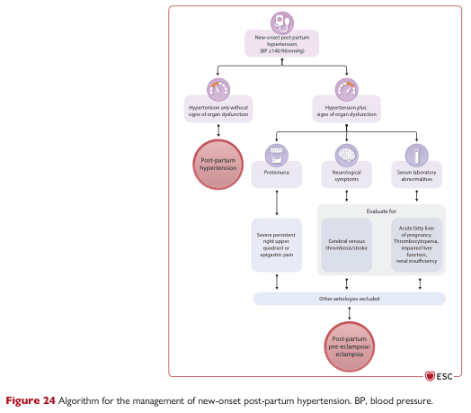Summary : This flowchart presents an algorithm for the management of new-onset post-partum hypertension, outlining the diagnostic and decision-making process based on the presence or absence of organ dysfunction and associated symptoms or laboratory findings.
flowchart:
# Nodes :
• Start (rounded rectangle): "New-onset post-partum hypertension (BP ≥140/90 mmHg)"
• Decision (rounded rectangle): "Hypertension only without signs of organ dysfunction"
• Decision (rounded rectangle): "Hypertension plus signs of organ dysfunction"
• Process (circle): "Post-partum hypertension"
• Process (rounded rectangle): "Proteinuria"
• Process (rounded rectangle): "Neurological symptoms"
• Process (rounded rectangle): "Serum laboratory abnormalities"
• Process (rounded rectangle): "Severe persistent right upper quadrant or epigastric pain"
• Process (rounded rectangle): "Evaluate for"
– "Cerebral venous thrombosis/stroke"
– "Acute fatty liver of pregnancy, Thrombocytopenia, impaired liver function, renal insufficiency"
• Process (rounded rectangle): "Other aetiologies excluded"
• End (circle): "Post-partum pre-eclampsia/eclampsia"
# Connectors :
• The initial node splits into two branches:
– Left: "Hypertension only without signs of organ dysfunction" → "Post-partum hypertension"
– Right: "Hypertension plus signs of organ dysfunction" → three parallel branches:
◦ "Proteinuria" → "Severe persistent right upper quadrant or epigastric pain"
◦ "Neurological symptoms" → "Evaluate for cerebral venous thrombosis/stroke"
◦ "Serum laboratory abnormalities" → "Evaluate for acute fatty liver of pregnancy, Thrombocytopenia, impaired liver function, renal insufficiency"
• All three right-side branches converge at "Other aetiologies excluded" → "Post-partum pre-eclampsia/eclampsia"
# Layout :
• Top-down hierarchical structure.
• Initial decision splits into two main branches (left: without organ dysfunction, right: with organ dysfunction).
• Right branch further splits into three parallel symptom/lab findings, each with its own evaluation step, then reconverges.
# Analysis :
• The flowchart distinguishes between simple post-partum hypertension and more severe cases with organ dysfunction.
• Presence of proteinuria, neurological symptoms, or laboratory abnormalities prompts further evaluation for specific complications.
• If other causes are excluded, a diagnosis of post-partum pre-eclampsia/eclampsia is made.
• The algorithm provides a clear, stepwise approach to guide clinicians in the assessment and management of post-partum hypertension.