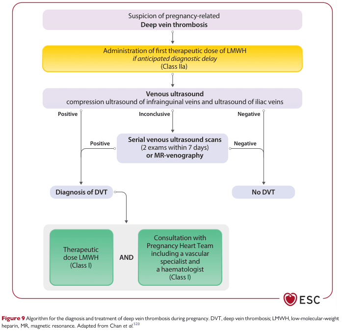 Summary : This flowchart presents an algorithm for the diagnosis and treatment of deep vein thrombosis (DVT) during pregnancy, as recommended by the European Society of Cardiology (ESC). It outlines the stepwise approach from initial suspicion to diagnosis and management, including the use of low-molecular-weight heparin (LMWH), ultrasound imaging, and specialist consultation.
flowchart:
# Nodes :
• Start (rounded rectangle): "Suspicion of pregnancy-related Deep vein thrombosis"
• Decision/Action (rounded rectangle, yellow): "Administration of first therapeutic dose of LMWH if anticipated diagnostic delay (Class IIa)"
• Process (rounded rectangle): "Venous ultrasound compression ultrasound of infrainguinal veins and ultrasound of iliac veins"
• Decision (split into three branches): "Positive", "Inconclusive", "Negative"
• Process (rounded rectangle): "Serial venous ultrasound scans (2 exams within 7 days) or MR-venography" (for inconclusive results)
• Decision (split from serial scans): "Positive", "Negative"
• Terminal (rectangle): "Diagnosis of DVT"
• Terminal (rectangle): "No DVT"
• Management (rectangle): "Therapeutic dose LMWH (Class I)"
• Management (rectangle): "Consultation with Pregnancy Heart Team including a vascular specialist and a haematologist (Class I)"
# Connectors :
• Downward arrows connect each step in sequence.
• From "Venous ultrasound", three branches:
– Positive → "Diagnosis of DVT"
– Inconclusive → "Serial venous ultrasound scans or MR-venography"
– Negative → "No DVT"
• From "Serial venous ultrasound scans or MR-venography":
– Positive → "Diagnosis of DVT"
– Negative → "No DVT"
• From "Diagnosis of DVT", two parallel arrows to:
– "Therapeutic dose LMWH (Class I)"
– "Consultation with Pregnancy Heart Team including a vascular specialist and a haematologist (Class I)"
• Both management steps are joined by "AND".
# Layout :
• Top-down, single entry point.
• Branching at ultrasound result (positive/inconclusive/negative).
• Re-merging after serial scans.
• Parallel management steps after DVT diagnosis.
• Color coding: yellow for urgent action, purple for diagnostic steps, green for management.
# Analysis :
• The algorithm prioritizes early treatment with LMWH if diagnostic delay is expected.
• Ultrasound is the primary diagnostic tool, with serial imaging or MR-venography for inconclusive cases.
• Negative imaging at any stage rules out DVT.
• Confirmed DVT leads to both therapeutic anticoagulation and multidisciplinary specialist consultation.
• The flowchart emphasizes safety, rapid diagnosis, and coordinated care for pregnant patients with suspected DVT.