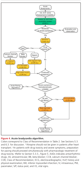 Summary : This figure presents a clinical decision flowchart for the management of acute bradycardia, detailing assessment steps, interventions, and pharmacologic treatments based on symptom severity and underlying causes.
flowchart:
# Nodes :
• Acute Bradycardia (rounded rectangle)
• VS, H+P, ECG Assessment of stability (rounded rectangle)
• Assess for and treat reversible causes (COR I) (green rounded rectangle)
• Moderate or severe symptoms (diamond)
• Evaluation and observation (rounded rectangle)
• Atropine* (Class IIa) (yellow rounded rectangle)
• Drug Toxicity? (diamond)
• Type? (diamond)
• Calcium channel blocker (rounded rectangle)
• IV Calcium (COR IIa) (yellow rounded rectangle)
• Beta blocker (rounded rectangle)
• IV Glucagon (COR IIa) (yellow rounded rectangle)
• High dose Insulin (COR IIa) (yellow rounded rectangle)
• Digoxin (rounded rectangle)
• Anti-digoxin Fab (COR IIa) (yellow rounded rectangle)
• Continued symptoms? (diamond)
• Severe symptoms, hemodynamically unstable (diamond)
• Acute Pacing Algorithm‡ (rounded rectangle)
• MI with AV Block? (diamond)
• Aminophylline (COR IIb) (yellow rounded rectangle)
• Beta-agonists (COR IIb) (yellow rounded rectangle)
• Continued symptoms? (diamond)
• Acute Pacing Algorithm‡ (rounded rectangle)
# Connectors :
• Arrows indicate progression from assessment to treatment.
• Branches split at decision diamonds (e.g., “Moderate or severe symptoms”, “Drug Toxicity?”, “Type?”, “Continued symptoms?”).
• Yes/No labels on branches direct flow to appropriate next steps.
• Pharmacologic interventions are highlighted in yellow, with class of recommendation (COR) indicated.
• Green node for initial reversible cause assessment.
• Flow merges at repeated “Continued symptoms?” and “Acute Pacing Algorithm‡” nodes.
# Layout :
• Top-down hierarchical structure.
• Initial assessment at the top, followed by symptom evaluation.
• Branches for drug toxicity and specific drug types (calcium channel blocker, beta blocker, digoxin).
• Interventions and further decision points cascade downward.
• Repeated checks for continued symptoms and instability.
• Acute pacing algorithm appears at two points for refractory cases.
# Analysis :
• The flowchart provides a systematic approach for acute bradycardia management, prioritizing reversible causes and symptom severity.
• Drug toxicity is a key branch, with tailored antidotes for specific agents.
• Pharmacologic interventions are color-coded by recommendation strength, guiding clinicians on preferred treatments.
• The algorithm ensures escalation to pacing for persistent or unstable cases, emphasizing safety and evidence-based care.
• The structure supports rapid decision-making in acute clinical settings.