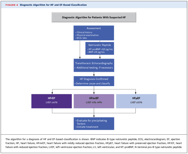 Summary : This figure presents a diagnostic algorithm for heart failure (HF) and its classification based on ejection fraction (EF), guiding clinicians through assessment, testing, and classification steps for patients with suspected HF.
flowchart:
# Nodes :
• Diagnostic Algorithm for Patients With Suspected HF (rectangular header)
• Assessment (rectangle): Clinical history, Physical examination, ECG, labs
• Natriuretic Peptide (rectangle): NT-proBNP >125 pg/mL, BNP ≥35 pg/mL
• Transthoracic Echocardiography (rectangle): Additional testing, if necessary
• HF Diagnosis Confirmed (rectangle): Determine cause and classify
• HFrEF (rectangle): LVEF ≤40%
• HFmrEF (rectangle): LVEF 41%-49%
• HFpEF (rectangle): LVEF ≥50%
• Evaluate for precipitating factors, Initiate treatment (rectangle under all three EF categories)
# Connectors :
• Top-down arrows connect each step sequentially: Assessment → Natriuretic Peptide → Transthoracic Echocardiography → HF Diagnosis Confirmed.
• From "HF Diagnosis Confirmed," three branches lead to HFrEF, HFmrEF, and HFpEF.
• Each EF category leads to a shared final step: Evaluate for precipitating factors, Initiate treatment.
# Layout :
• Vertical flow from top to bottom, with a split into three parallel branches for EF-based classification.
• All three EF branches converge to a common final action box.
# Analysis :
• The algorithm provides a clear, stepwise approach for diagnosing HF, starting with clinical assessment and progressing through biomarker testing and echocardiography.
• Classification is based on left ventricular ejection fraction (LVEF): reduced (≤40%), mildly reduced (41%-49%), and preserved (≥50%).
• The final step emphasizes evaluating causes and initiating treatment regardless of EF category, supporting a systematic and comprehensive management strategy for HF.