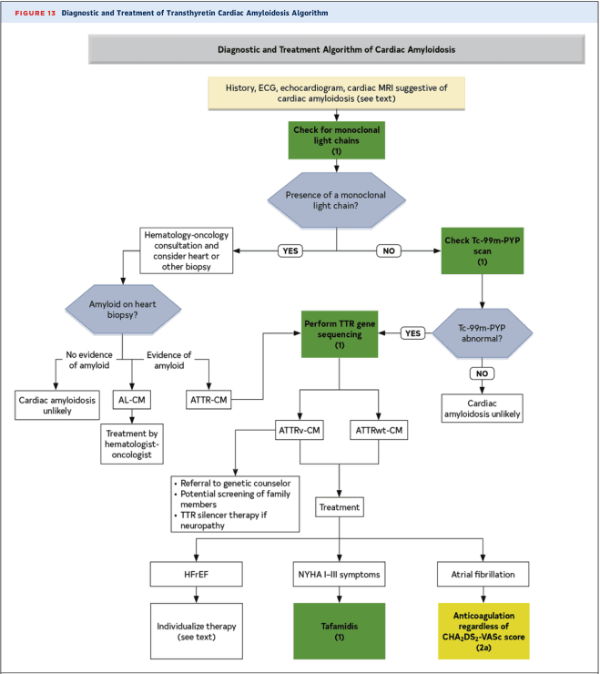Summary : This figure presents a diagnostic and treatment algorithm for transthyretin cardiac amyloidosis, guiding clinicians through a stepwise evaluation based on clinical suspicion, laboratory findings, imaging, and genetic testing to differentiate between amyloid subtypes and direct appropriate therapy.
flowchart:
# Nodes :
• "History, ECG, echocardiogram, cardiac MRI suggestive of cardiac amyloidosis (see text)" (rectangle, yellow)
• "Check for monoclonal light chains (1)" (rectangle, green)
• "Presence of a monoclonal light chain?" (diamond, blue)
• "Hematology-oncology consultation and consider heart or other biopsy" (rectangle, white)
• "Amyloid on heart biopsy?" (diamond, blue)
• "No evidence of amyloid" (rectangle, white)
• "Cardiac amyloidosis unlikely" (rectangle, white)
• "Evidence of amyloid" (rectangle, white)
• "AL-CM" (rectangle, white)
• "Treatment by hematologist-oncologist" (rectangle, white)
• "ATTR-CM" (rectangle, white)
• "Check Tc-99m-PYP scan (1)" (rectangle, green)
• "Tc-99m-PYP abnormal?" (diamond, blue)
• "NO" (rectangle, white)
• "Cardiac amyloidosis unlikely" (rectangle, white)
• "YES" (rectangle, white)
• "Perform TTR gene sequencing (1)" (rectangle, green)
• "ATTRv-CM" (rectangle, white)
• "Referral to genetic counselor" (rectangle, white, bulleted list: "Potential screening of family members", "TTR silencer therapy if neuropathy")
• "HFrEF" (rectangle, white)
• "Individualize therapy (see text)" (rectangle, white)
• "ATTRwt-CM" (rectangle, white)
• "Treatment" (rectangle, white)
• "NYHA I-III symptoms" (rectangle, white)
• "Tafamidis (1)" (rectangle, green)
• "Atrial fibrillation" (rectangle, white)
• "Anticoagulation regardless of CHA2DS2-VASc score (2a)" (rectangle, yellow)
# Connectors :
• The flow starts from the clinical suspicion node, then to checking for monoclonal light chains.
• If YES (monoclonal light chain present), proceed to hematology-oncology consultation and biopsy.
• If amyloid is found on biopsy, branch to AL-CM (with treatment by hematologist-oncologist) or ATTR-CM.
• If NO (no monoclonal light chain), check Tc-99m-PYP scan.
• If Tc-99m-PYP is abnormal, perform TTR gene sequencing.
• TTR gene sequencing branches to ATTRv-CM (with referral to genetic counselor, family screening, TTR silencer therapy if neuropathy, and HFrEF management) or ATTRwt-CM (with treatment).
• For NYHA I-III symptoms, Tafamidis is recommended.
• For atrial fibrillation, anticoagulation is recommended regardless of CHA2DS2-VASc score.
• If Tc-99m-PYP is not abnormal or no amyloid is found on biopsy, cardiac amyloidosis is deemed unlikely.
# Layout :
• The flowchart is organized in a top-down manner, with decision diamonds for key diagnostic steps and rectangular nodes for actions or outcomes.
• Parallel branches distinguish between monoclonal light chain presence and absence, with further subdivisions based on biopsy and imaging results.
• Treatment recommendations are at the bottom, following diagnostic confirmation.
# Analysis :
• The algorithm emphasizes a systematic approach to diagnosing cardiac amyloidosis, starting with clinical suspicion and noninvasive testing, followed by laboratory and imaging differentiation between AL and ATTR subtypes.
• Genetic testing and family counseling are integrated for hereditary forms.
• Specific therapies (e.g., Tafamidis, anticoagulation) are highlighted for confirmed cases, with clear exclusion of cardiac amyloidosis when diagnostic criteria are not met.