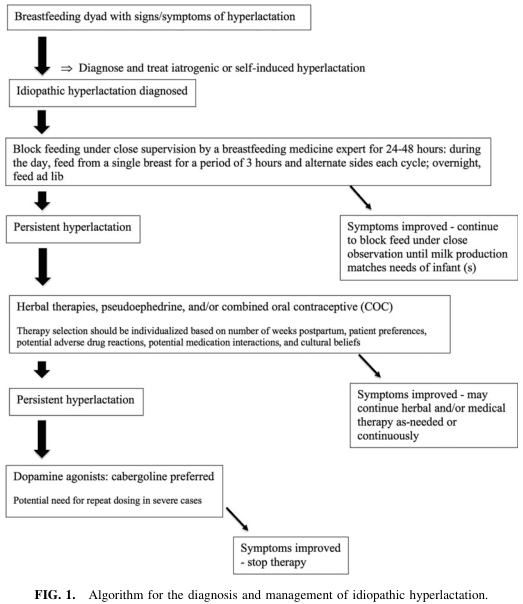 Summary : This flowchart presents an algorithm for the diagnosis and management of idiopathic hyperlactation in breastfeeding dyads, outlining stepwise interventions and decision points based on patient response.
flowchart:
# Nodes :
• Breastfeeding dyad with signs/symptoms of hyperlactation (rectangle)
• Diagnose and treat iatrogenic or self-induced hyperlactation (process note)
• Idiopathic hyperlactation diagnosed (rectangle)
• Block feeding under close supervision by a breastfeeding medicine expert for 24-48 hours: during the day, feed from a single breast for a period of 3 hours and alternate sides each cycle; overnight, feed ad lib (rectangle)
• Persistent hyperlactation (rectangle)
• Symptoms improved - continue to block feed under close observation until milk production matches needs of infant(s) (rectangle, branch)
• Herbal therapies, pseudoephedrine, and/or combined oral contraceptive (COC) (rectangle)
– Therapy selection should be individualized based on number of weeks postpartum, patient preferences, potential adverse drug reactions, potential medication interactions, and cultural beliefs (note)
• Persistent hyperlactation (rectangle)
• Symptoms improved - may continue herbal and/or medical therapy as-needed or continuously (rectangle, branch)
• Dopamine agonists: cabergoline preferred (rectangle)
– Potential need for repeat dosing in severe cases (note)
• Symptoms improved - stop therapy (rectangle)
# Connectors :
• Downward arrows connect each step in the main pathway.
• At each intervention step, a rightward arrow branches to a “Symptoms improved” node, indicating continued or adjusted therapy.
• If symptoms persist, the flow returns to the main vertical pathway for escalation of therapy.
# Layout :
• The flowchart is arranged vertically, with decision branches to the right at each intervention step.
• Main pathway: initial diagnosis → block feeding → herbal/medication therapy → dopamine agonists.
• Branches at each intervention for symptom improvement, leading to continued observation or therapy cessation.
# Analysis :
• The algorithm is structured to escalate interventions for idiopathic hyperlactation only if symptoms persist after each step.
• Initial management focuses on supervised block feeding, followed by individualized herbal or medication therapy, and finally dopamine agonists for refractory cases.
• At each stage, improvement in symptoms allows for de-escalation or cessation of therapy, emphasizing a tailored and stepwise approach.