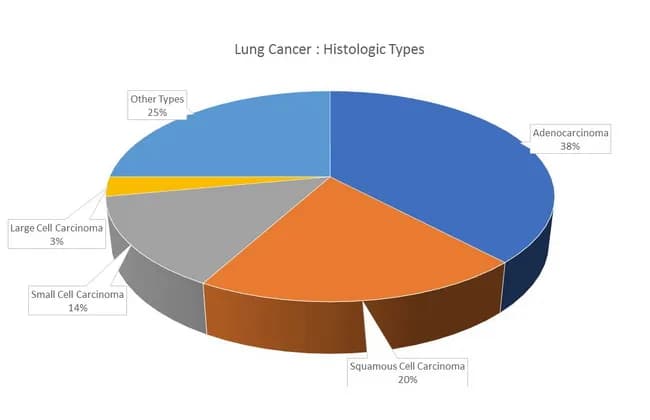 Lung cancer histologic types distribution infographic presenting major histologies and their relative frequencies. The chart is a non-imaging visualization with labeled segments. It shows adenocarcinoma as the most common histology (~38%), followed by squamous cell carcinoma (~20%), small cell carcinoma (~14%), large cell carcinoma (~3%), and other types (~25%). This representation highlights epidemiology: adenocarcinoma is more frequent in women and never-smokers and tends to arise in peripheral airways, whereas squamous and small cell carcinomas originate in proximal airways and show strong smoking associations. Mixed histologies occur in about 10% of cases (e.g., adenocarcinoma with squamous cell). In never-smokers, adenocarcinoma frequently harbors EGFR mutations, while KRAS mutations are more linked to smoking history; TP53 mutations are more common in smoking-related cancers. Clinical relevance includes informing diagnostic workups, guiding biopsy targeting, and shaping research into histology-specific biology and molecular profiles. This image serves educational, epidemiologic, and research contexts in pathology, oncology, pulmonology, and medical education, and supports discussions about tumor heterogeneity, histology-driven therapy implications, and population-based cancer statistics.