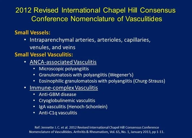 Educational slide illustrating the 2012 Revised International Chapel Hill Consensus Conference nomenclature for vasculitis, with emphasis on small-vessel disease. Core subject: classification of small vessel vasculitis into ANCA-associated vasculitis and immune-complex vasculitis, plus related disorders. Primary focus areas include Small Vessels: intraparenchymal arteries, arterioles, capillaries, venules, and veins within the microvasculature; Small Vessel Vasculitis as a clinical-radiologic-pathologic framework. The ANCA-associated vasculitis subgroup comprises Microscopic polyangiitis; Granulomatosis with polyangiitis (Wegener’s); Eosinophilic granulomatosis with polyangiitis (Churg–Strauss). The immune-complex vasculitis subgroup includes Anti-GBM disease, Cryoglobulinemic vasculitis, IgA vasculitis (Henoch–Schönlein). Anti-C1q vasculitis is also listed. The slide conveys nomenclature variants and synonymous terms to aid searchability and education. This image is not a patient study but a teaching aid for clinicians, residents, and students in rheumatology, nephrology, dermatology, pulmonology, and internal medicine. Clinical relevance includes understanding diagnostic categories, guiding serologic testing (ANCA panels, anti-GBM, cryoglobulins, IgA), directing biopsy strategy, and informing treatment decisions and prognosis. It supports case discussions, exam preparation, and scholarly review of vasculitis taxonomy and disease spectrum. Keywords for indexing include vasculitis taxonomy, Chapel Hill criteria, systemic vasculitis, pediatric and adult references, differential diagnoses, serology interpretation, biopsy targets. This facilitates rapid retrieval in teaching files, clinical decision support, and research datasets.