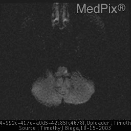 **Medical Image Description**