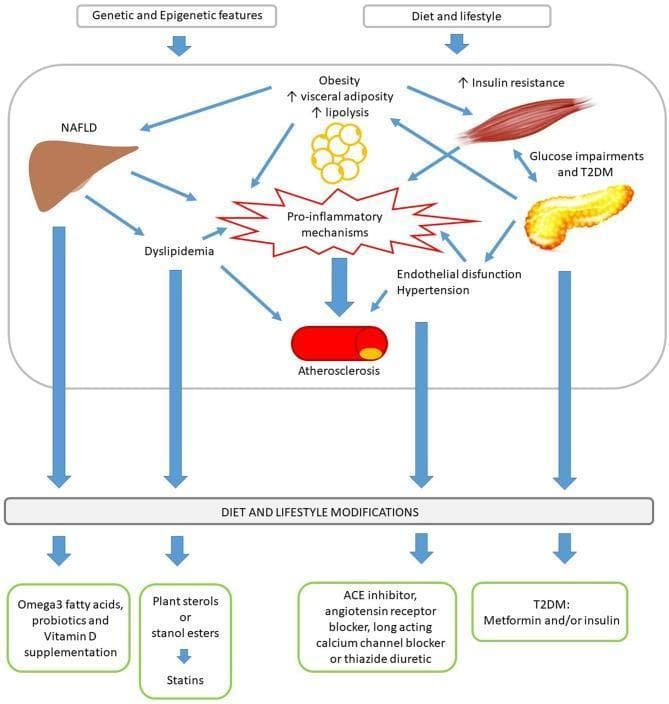 A medical pathophysiology diagram illustrating the pathomechanisms of Metabolic Syndrome (MetS) and corresponding therapeutic interventions. The upper section depicts a causal flowchart starting with 'Genetic and Epigenetic features' and 'Diet and lifestyle'. These factors lead to a complex interplay of clinical conditions including Non-alcoholic fatty liver disease (NAFLD), Obesity (increased visceral adiposity and lipolysis), Insulin resistance, Glucose impairments/Type 2 Diabetes Mellitus (T2DM), and Dyslipidemia. These conditions converge on a central 'Pro-inflammatory mechanisms' node, which triggers endothelial dysfunction, hypertension, and ultimately, atherosclerosis. The lower section of the diagram focuses on management strategies, centered on 'Diet and Lifestyle Modifications'. Targeted pharmacological and supplemental interventions are mapped to specific MetS components: Omega-3, probiotics, and Vitamin D for hepatic/metabolic support; plant sterols and statins for dyslipidemia; ACE inhibitors, ARBs, CCBs, or thiazide diuretics for hypertension; and metformin or insulin for T2DM. This educational illustration serves as a clinical algorithm for understanding cardiometabolic risk progression and multi-modal treatment approaches in pediatric and adult medicine.