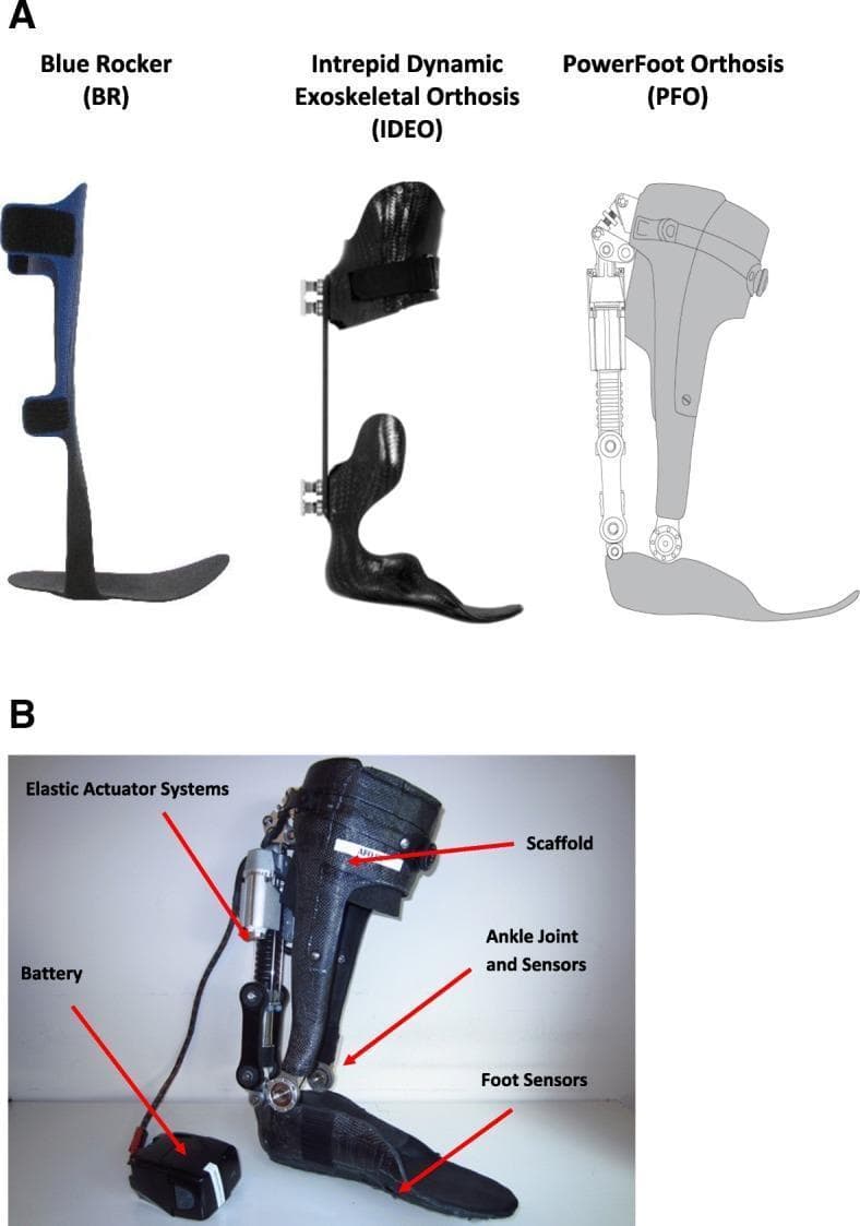 This educational image displays a comparative overview of three types of Ankle-Foot Orthoses (AFOs) used in rehabilitation and gait assistance. Section A shows side-profile views of: 1) The Blue Rocker (BR), a passive carbon fiber AFO featuring a continuous lateral strut and flexible footplate; 2) The Intrepid Dynamic Exoskeletal Orthosis (IDEO), a passive dynamic AFO with a custom carbon fiber cuff and rigid footplate connected by a posterior strut; and 3) A schematic of the PowerFoot Orthosis (PFO), a complex, powered robotic AFO. Section B provides a posterior clinical photograph of the PFO, labeling its integrated electromechanical components. Key features include the 'Scaffold' (a carbon fiber structural shank), 'Elastic Actuator Systems' for motor-controlled power generation, 'Ankle Joint and Sensors' for monitoring position and torque, 'Foot Sensors' for gait phase detection, and an external 'Battery' pack. The image illustrates the technological progression from passive-elastic to active-powered orthotic interventions for addressing lower-limb biomechanical deficits.