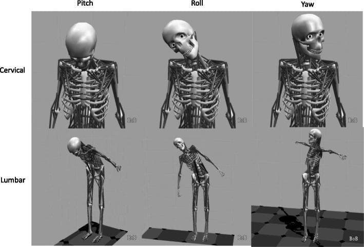 Anatomical biomechanics diagram illustrating the three planes of motion—pitch, roll, and yaw—applied to the cervical and lumbar spine using 3D musculoskeletal skeletal models. The top row focuses on the cervical spine and head: 'Pitch' shows flexion (forward tilting of the skull), 'Roll' shows lateral flexion (side tilting), and 'Yaw' shows axial rotation (horizontal turning of the head). The bottom row displays these movements in the lumbar spine and full body: 'Pitch' depicts trunk flexion at the waist, 'Roll' shows lateral trunk bending, and 'Yaw' illustrates axial rotation of the torso relative to the pelvis with arms extended. The diagram serves as an educational tool for understanding spinal kinematics, range of motion, and orientation during movement analysis or clinical extrication studies. Labels indicate the specific anatomical region (Cervical vs. Lumbar) and the rotational axis (Pitch/Roll/Yaw), utilizing precise biomechanical terminology to define multi-planar spinal movement.