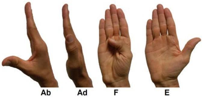 A series of four clinical photographs demonstrating the cardinal movements of the human thumb at the carpometacarpal (CMC) joint. The hand is shown in four distinct positions, labeled with medical abbreviations: 'Ab' for Abduction, showing the thumb moving away from the palm in a sagittal plane; 'Ad' for Adduction, showing the thumb returned toward the radial side of the palm; 'F' for Flexion, depicting the thumb moving across the palm toward the ulnar side; and 'E' for Extension, showing the thumb moving away from the palm in the frontal plane. The images highlight the Range of Motion (ROM) and kinematic capabilities of the thumb's first metacarpal. This visual is used in physical therapy, orthopedics, and prosthetic design to define anatomical landmarks and standard functional assessments of the thumb's degree of freedom (DOF) and ability to perform opposition and repositioning tasks.