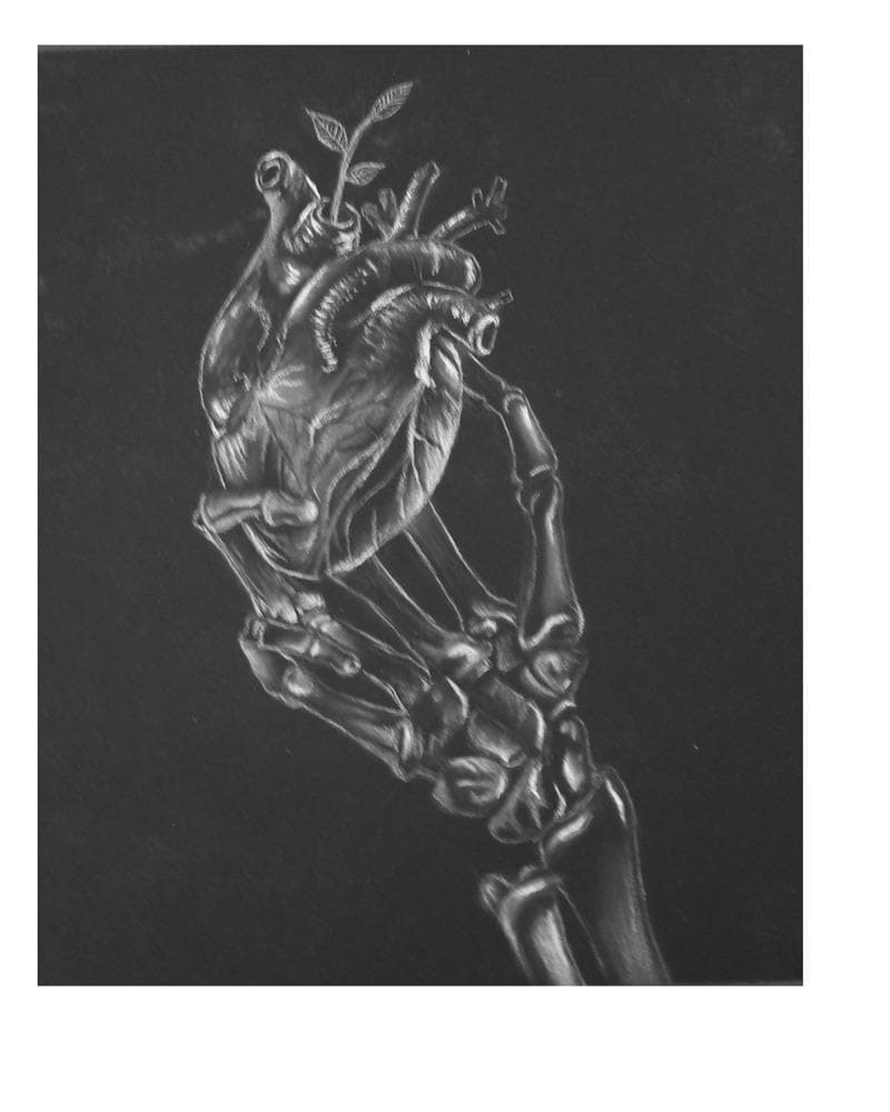 This medical illustration, titled 'Skeleton Heart,' is an anatomical diagram rendered in charcoal and white conté on a dark background, primarily serving an educational role in the medical humanities. It depicts a detailed skeletal hand and wrist—showing phalanges, metacarpals, and carpals—cradling a human heart. The heart is presented with clear anatomical landmarks, including the superior vena cava, aorta, and pulmonary trunk. A small, leafy plant sprout emerges from the superior aspect of the heart, specifically from one of the great vessels, symbolizing hope or biological regeneration. The illustration is designed to teach concepts related to cardiovascular health awareness, ischemic pain recognition, and the emotional impact of cardiac disease. It uses chiaroscuro-style shading to emphasize bone texture and cardiac valves, providing a visual metaphor for the 'warning signs' of heart failure or cardiac events. This content is suitable for medical education modules focusing on patient perspectives, prodromal symptoms of heart disease, and the psychosocial aspects of chronic illness.