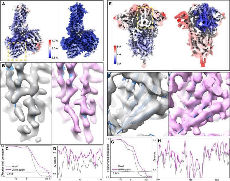 This figure demonstrates structural refinement of Cryo-Electron Microscopy (Cryo-EM) datasets for the GPCR (EMPIAR-10786) and SARS-CoV-2 spike protein (EMPIAR-10492). Panels A and E display 3D surface reconstructions comparing original angle assignments to patch-by-patch and focused refinement results. The models are color-coded by local resolution (Å), where blue represents higher resolution (approx. 2.5–3 Å) and red represents lower resolution (4–8 Å). The refined maps show a significant shift toward blue, indicating improved structural resolvability. Panels B and F provide high-magnification views of real space features, contrasting the original reconstruction (gray) with the refined structure (pink). The refined pink maps exhibit superior density separation and connectivity, particularly in beta-strands and side-chain definitions. Quantitative assessment is provided in panels C, D, G, and H through Fourier Shell Correlation (FSC) curves and Q-score plots. These charts show that GMM-patch refinement (pink line) consistently outperforms standard voxel-based methods (gray line) by extending the resolution threshold and increasing the Q-score across the protein sequence, indicating more accurate atomic modeling.