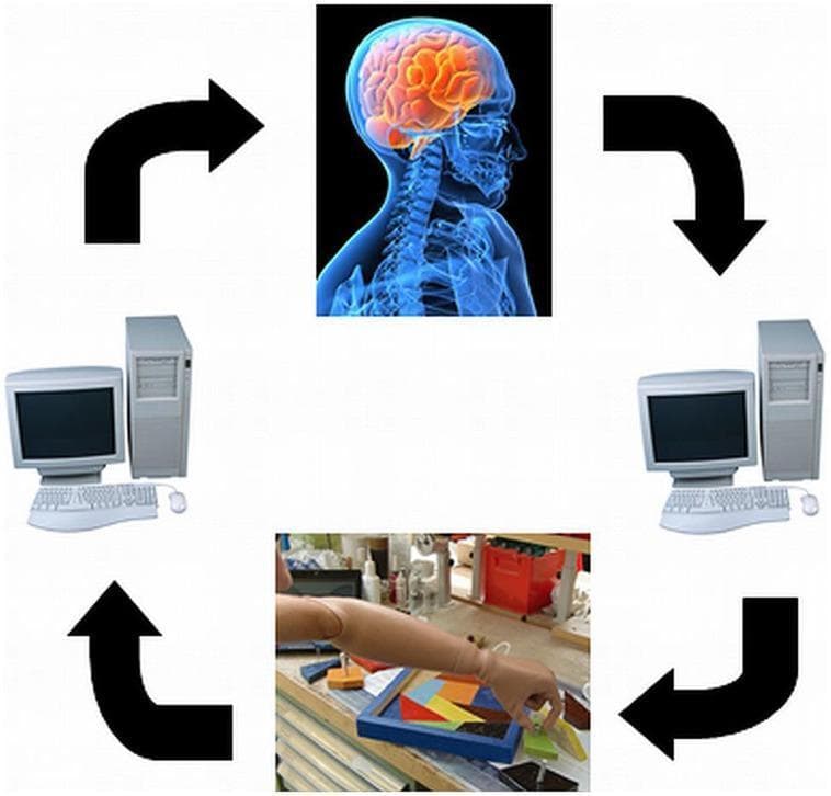 This infographic illustrates the conceptual framework of a closed-loop Brain-Computer Interface (BCI) system for prosthetic control. The diagram is organized in a circular flow using four main components connected by thick black arrows. At the apex, a sagittal anatomical diagram of a human head shows a brain with highlighted orange cortical activity, representing neural intent or motor planning. Following the clockwise flow, a computer workstation symbolizes the signal processing and decoding of neural data. Below this, a clinical photograph shows a skin-toned prosthetic arm and hand performing a fine motor task: manipulating geometric puzzle pieces on a workbench. This represents the effector output and sensory feedback acquisition. Completing the loop, a second computer workstation symbolizes the encoding of feedback signals back to the user. The illustration demonstrates the integration of neural engineering, neurorehabilitation, and embodiment in advanced prosthetics, highlighting the bidirectional communication required for sophisticated bionic limb function.