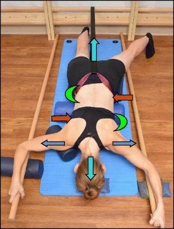 A clinical photograph and diagrammatic summary of a patient performing the Schroth prone exercise for scoliosis management. The patient is positioned prone on a blue mat, utilizing various therapeutic aids to facilitate trunk stabilization and spinal correction. Key equipment includes a pelvic support (footstool) to elevate the pelvis, and cylindrical rolls placed under the lower abdomen and the right shoulder. The left leg is abducted, corresponding to the lumbar convex side, while the arms are extended laterally, holding dowel rods for stability.
Superimposed icons illustrate the biomechanical forces applied: Turquoise arrows indicate axial trunk elongation through cranial and caudal traction. Blue arrows at the shoulders represent bilateral shoulder traction and counter-traction to address thoracic curvature. Red arrows signify targeted muscle activation intended to shift convexities toward the midline. Green half-moon shapes identify the concavities of the spine where respiratory expansion is encouraged. This visual serves as an educational guide for Physiotherapeutic Scoliosis-Specific Exercises (PSSE) focusing on 3D postural self-correction.