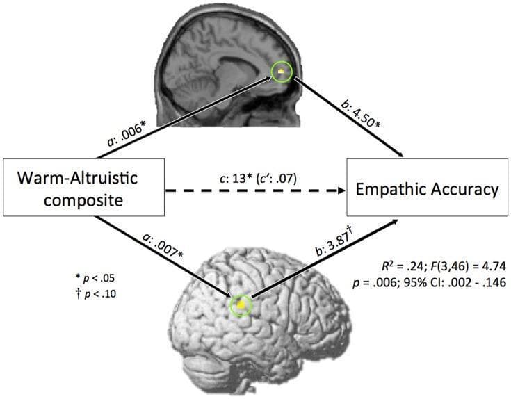 A pathophysiology diagram and statistical model illustrating a mediation analysis in neuroscience. The visual depicts the relationship between personality traits (Warm-Altruistic composite) and behavioral outcomes (Empathic Accuracy), mediated by neural activity. Two functional magnetic resonance imaging (fMRI) brain maps are featured: a sagittal view showing an activation cluster in the medial prefrontal cortex (mPFC) and a 3D rendering highlighting the right temporoparietal junction (rTPJ). Both regions are marked with yellow circles and connected via solid arrows representing path 'a' (independent variable to mediator) and path 'b' (mediator to dependent variable). Path 'a' coefficients (.006* and .007*) and path 'b' coefficients (4.50* and 3.87†) indicate the strength of these associations. A central dashed arrow represents the direct path 'c' (.13*) and the residual path 'c' (.07) after accounting for the mediators. The diagram includes statistical legends (p-values, R-squared, and confidence intervals), serving as an educational resource for understanding the neural correlates of empathy and the 'theory of mind' network.