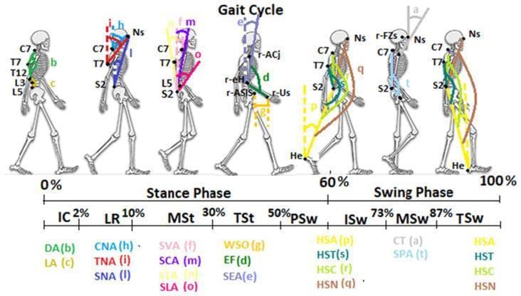 This medical illustration is a Timeline/Progression diagram depicting the human gait cycle from 0% to 100%. Seven skeletal figures in sagittal view demonstrate the biomechanics of movement across the Stance Phase (0-60%) and Swing Phase (60-100%). The diagram incorporates the DB-Total marker set protocol, with reflective markers at anatomical landmarks including the Nasion (Ns), spinous processes (C7, T7, L5, S2), acromioclavicular joint (ACj), and heel (He). Key gait phases are identified: Initial Contact (IC), Loading Response (LR), Mid-Stance (MSt), Terminal Stance (TSt), Pre-Swing (PSw), Initial Swing (ISw), Mid-Swing (MSw), and Terminal Swing (TSw). Color-coded lines and lowercase letters (a-t) represent eighteen sagittal kinematic parameters, such as Dorsal Angle (DA), Lumbar Angle (LA), Sagittal Vertical Axis (SVA), and various Heel-Sacrum relationships (HSA, HST, HSC, HSN). The educational focus is on whole-body kinematics, showing the dynamic alignment of the head, trunk, and limbs during walking for clinical motion analysis and gait assessment in rehabilitation medicine.