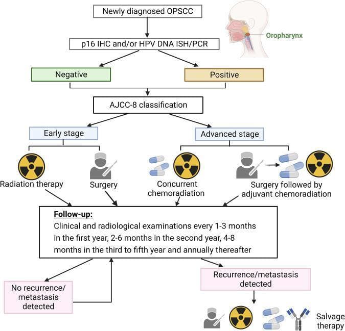 A clinical treatment flowchart outlining the management of Oropharyngeal Squamous Cell Carcinoma (OPSCC). The algorithm begins with 'Newly diagnosed OPSCC' and an anatomical inset highlighting the oropharynx. The first diagnostic node specifies HPV testing using p16 immunohistochemistry (IHC), HPV DNA in situ hybridization (ISH), or PCR, branching into 'Negative' and 'Positive' statuses. Both branches converge for AJCC-8 staging, which dictates the therapeutic pathway: 'Early stage' patients are directed toward single-modality treatment (Radiation therapy or Surgery), while 'Advanced stage' patients receive multimodal care (Concurrent chemoradiation or Surgery followed by adjuvant chemoradiation). A comprehensive 'Follow-up' box details clinical and radiological monitoring schedules spanning five years. The diagram concludes with outcomes: 'No recurrence/metastasis detected' (looping back to follow-up) or 'Recurrence/metastasis detected,' which triggers 'Salvage therapy' consisting of surgery, radiation, chemotherapy, or immunotherapy. This flowchart is an educational tool for oncology specialists and medical students to understand current standard-of-care protocols for head and neck cancers.