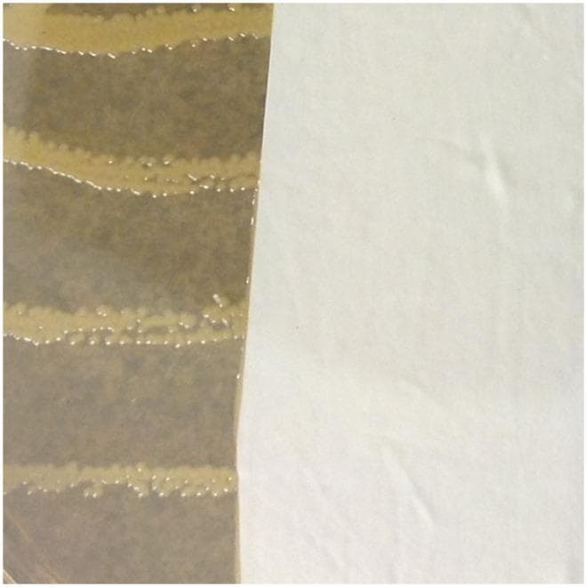 A microbiological assay image illustrating a zone of inhibition test (Kirby-Bauer variant) to evaluate the antimicrobial properties of medical personal protective equipment (PPE). The left side of the image displays an agar plate surface inoculated with Staphylococcus aureus, showing dense, yellowish, opaque bacterial colonies growing in parallel horizontal streaks across a brownish, translucent medium. The right side features a section of a white nitrile medical glove placed directly onto the agar. Notably, there is a lack of a clear zone of inhibition at the interface between the glove material and the bacterial growth; the colonies proliferate up to the very edge of the nitrile material. This visual serves as a clinical demonstration that this specific nitrile glove type provides no inherent antimicrobial inhibition against S. aureus. The image is used in medical education to teach concepts of infection control, material efficacy, and laboratory techniques for testing the antimicrobial properties of clinical supplies.