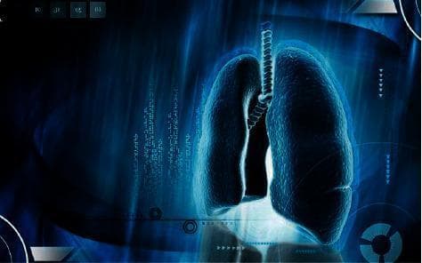 This medical illustration is a stylized 3D anatomical diagram of the human respiratory system, focusing on the lungs and trachea. The central feature is a pair of symmetrically positioned lungs with a granulated, textured surface that evokes the presence of pulmonary parenchyma and alveoli. Connecting them at the superior midline is the trachea, depicted with visible horizontal ridges representing cartilaginous rings. The image utilizes a cool, high-contrast blue color palette with digital overlays—including binary code patterns and circular UI elements—to establish a clinical and technological aesthetic. This infographic-style visual represents the intersection of pulmonology and advanced diagnostic technology, specifically the application of deep learning algorithms and artificial intelligence in lung cancer imaging and nodule detection. The educational focus is on visualizing thoracic anatomy within the context of computer-aided diagnosis (CAD) and medical informatics.