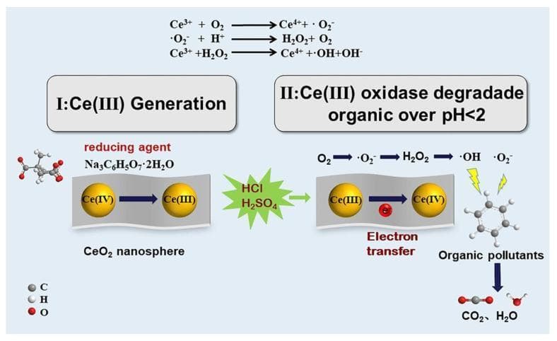 A pathophysiology schematic illustrating the catalytic mechanism of a cerium-based nanocatalyst (CeAY) for degrading organic pollutants under acidic conditions, relevant to toxicology and environmental health. The diagram is divided into two phases: Section I (Ce(III) Generation) shows the reduction of CeO2 nanospheres from a Ce(IV) to a Ce(III) oxidation state using a sodium citrate reducing agent. Section II (Oxidase degradation) depicts the catalytic cycle triggered by the addition of HCl and H2SO4 at pH < 2. In this phase, an electron transfer occurs from Ce(III) back to Ce(IV), facilitating a reactive oxygen species (ROS) cascade. This biochemical pathway starts with molecular oxygen (O2) converting into superoxide radicals (•O2−), then hydrogen peroxide (H2O2), and finally hydroxyl radicals (•OH). These highly reactive species target organic pollutants, represented by a benzene-like molecular structure, resulting in their complete oxidation into non-toxic products, carbon dioxide (CO2) and water (H2O). Chemical equations at the top define the specific redox transitions and ROS generation steps.