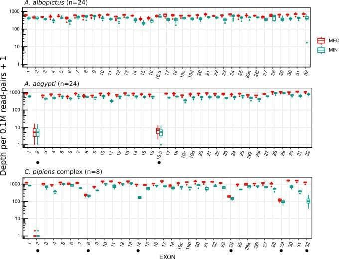 A comparison chart consisting of three logarithmic dot plots illustrating the targeted sequencing coverage of Voltage-Gated Sodium Channel (VGSC) exons in three mosquito species: Aedes albopictus (n=24), Aedes aegypti (n=24), and Culex pipiens complex (n=8). The y-axis represents the sequencing depth per 0.1M read-pairs plus 1 on a logarithmic scale (1 to 1000), while the x-axis lists specific exons from 1 to 32. For each exon, two data points are provided: Median depth (MED, red) and Minimum depth (MIN, teal). The chart demonstrates that A. albopictus exhibits high and consistent coverage across all exons. In contrast, A. aegypti shows a significant drop in coverage for exons 2 and 16.5, and the C. pipiens complex displays variability with notable coverage dips in exons 2, 8, 14, 24, 29, and 32 (indicated by black dot markers). This visual data is critical for evaluating the efficiency of a single probe set designed for insecticide resistance research across different medically relevant mosquito vectors.