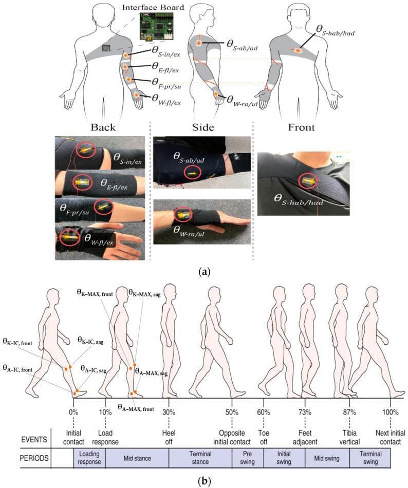 This medical infographic and diagnostic diagram illustrates wearable biomechanical motion detection systems for rehabilitation and sports medicine. Section (a) displays a schematic and clinical photographs of tendon-inspired sensors integrated into wearable elastic belts on the upper body. Labeled locations include the shoulder, elbow, forearm, and wrist, with mathematical notations for measuring joint angles such as internal/external rotation (θ_S-in/ex), abduction/adduction (θ_S-ab/ad), horizontal abduction (θ_S-hab/had), elbow flexion (θ_E-fl/ex), forearm pronation/supination (θ_F-pr/su), and wrist flexion/deviation (θ_W-fl/ex, θ_W-ra/ul). Section (b) presents a gait analysis flowchart using silhouettes to represent a full gait cycle (0% to 100%). It categorizes gait phases into 'Events' (Initial contact, Load response, Heel-off, Toe-off, Mid swing) and 'Periods' (Stance and Swing phases). The diagram highlights critical biomechanical parameters, specifically knee and ankle angles at initial contact (θ_K-IC, θ_A-IC) and maximum flexion/dorsiflexion (θ_K-MAX, θ_A-MAX) in both frontal and sagittal planes, essential for gait monitoring and injury prevention.