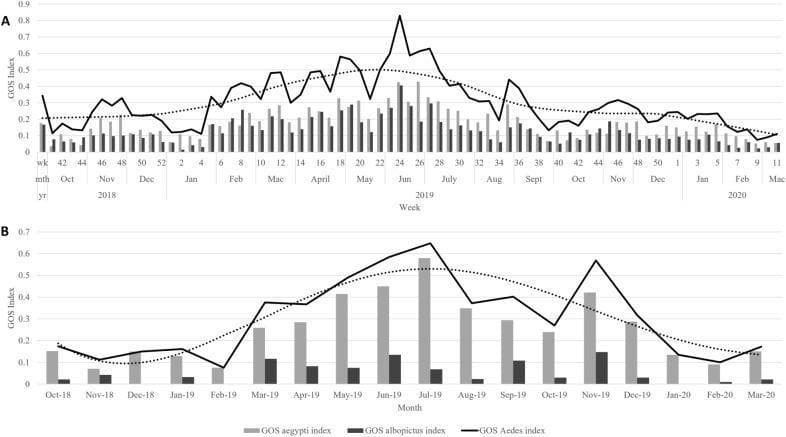 A dual-panel graph illustrating the temporal trends of Gravid Ovillanta System (GOS) indices for Aedes mosquitoes, a critical entomological indicator in dengue vector surveillance. Panel A presents weekly data for an intervention group, while Panel B displays monthly data for a control group, spanning October 2018 to March 2020. Both panels feature a solid black line representing the total GOS Aedes index, complemented by a black dotted trend decomposition curve. Bar charts categorize the data into GOS aegypti (light grey) and GOS albopictus (dark grey) indices. In the intervention group (A), the mosquito population shows significant fluctuation with a prominent peak in abundance around June 2019 (weeks 24–26), followed by a gradual downward trend. In the control group (B), Ae. aegypti consistently demonstrates higher relative abundance compared to Ae. albopictus. This comparative data is used to evaluate the efficacy of trap deployment and community-based interventions in reducing mosquito density, which is a primary risk factor for the transmission of arboviral diseases like dengue.
