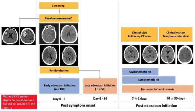 Educational flowchart and clinical imaging panel depicting the study design for a randomized controlled trial (LASER trial) on edoxaban initiation timing following atrial fibrillation-related ischemic stroke. The flowchart illustrates the timeline from screening and baseline assessment to randomization into two arms: early edoxaban initiation (Day 0–5, n=100) and late initiation (Day 6–14, n=50). Integrated into the flowchart are axial non-contrast CT scans of the head. Baseline assessment images demonstrate various stroke manifestations, including acute ischemic infarcts appearing as focal hypodensities and parenchymal hematomas (PH1 and PH2) characterized by hyperdense focal lesions with surrounding edema. Follow-up CT scan panels at 7 ± 2 days post-initiation monitor for outcomes such as asymptomatic or symptomatic hemorrhagic transformation (HT), recurrent ischemic events, and encephalomalacia. The diagram uses color-coded boxes to delineate study phases and clinical endpoints, highlighting the trial's focus on balancing the prevention of recurrent ischemia against the risk of hemorrhagic transformation in stroke management.
