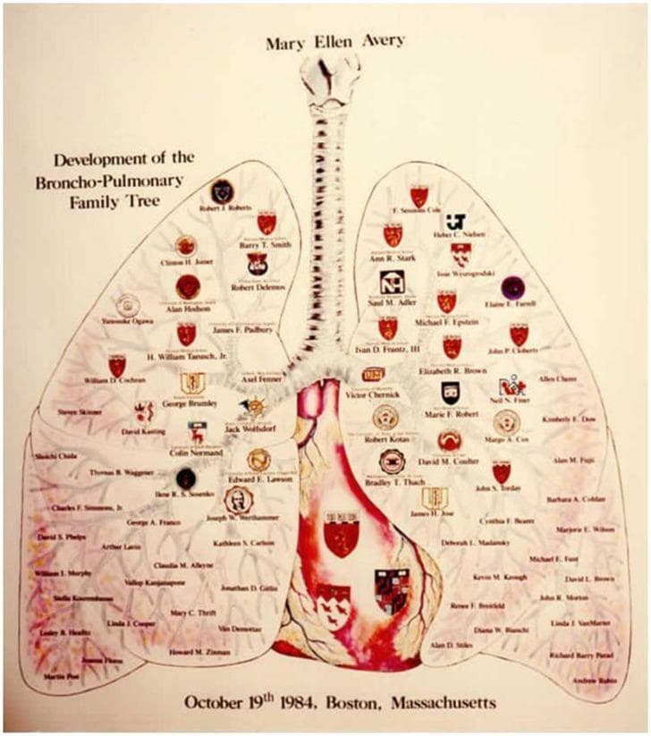 This educational illustration, titled 'Development of the Broncho-Pulmonary Family Tree,' uses the human respiratory anatomy as a metaphorical framework to document medical mentorship. The diagram depicts the trachea, primary bronchi, and the bilateral lung lobes. Within the anatomical boundaries of the lungs, names of clinicians and scientists mentored by Dr. Mary Ellen Avery (a pioneer in neonatal pediatrics and pulmonology) are displayed. These names are accompanied by various academic crests, shields, and institution-specific symbols, representing the diverse locations where her trainees established their careers by 1984. The illustration serves as a historical and biographical infographic within the field of pediatric pulmonology, highlighting the professional lineage and the 'growth' of a specific medical subspecialty through academic mentorship. It emphasizes the importance of educational legacy in the advancement of neonatal respiratory medicine.