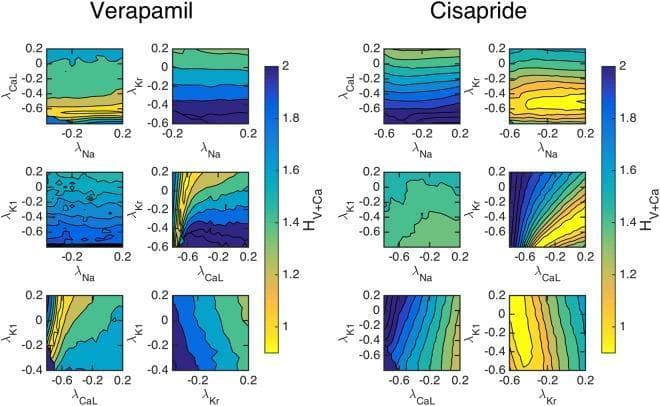 This diagnostic comparison chart displays two sets of contour plots illustrating the sensitivity of a cost function (HV+Ca) to pairwise perturbations of ion channel conductances (λNa, λCaL, λKr, λK1). The data represents electrophysiological inversion results from a cardiac Micro-Physiological System (MPS). The left panel corresponds to the effects of 100 nM Verapamil, known to block both L-type calcium (ICaL) and rapid delayed rectifier potassium (IKr) currents. The right panel represents 10 nM Cisapride, a selective IKr blocker. Each 3x2 grid shows different parameter pairings; color intensity represents the cost function value, where darker blue signifies higher values and yellow indicates a minimum (optimal fit). In the Cisapride group, the λKr vs. λCaL plot displays dense, vertical contour lines, indicating high sensitivity of the model specifically to perturbations in the IKr current. This visualization is used in cardiac pharmacology to identify drug-induced channel blockades by comparing experimental voltage and calcium transients with mathematical cell models.
