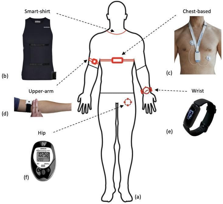 An educational infographic and clinical photograph collage illustrating the anatomical placement of various wearable sensor devices used for perioperative physiological monitoring and health research. (a) A central human silhouette acts as a anatomical map with dotted lines indicating six specific sensor locations. (b) A 'smart shirt' (Hexoskin) covers the torso to collect integrated ECG and respiratory data. (c) A chest-based single-lead ECG wearable is shown as a necklace-style device with adhesive electrodes on the precordium. (d) An upper-arm sensor is pictured utilizing reflective photoplethysmography (PPG) for hemodynamic monitoring. (e) A wrist-worn device (Fitbit) is displayed for tracking physical activity via accelerometry and heart rate via PPG. (f) A hip-worn tri-axis accelerometer (pedometer) is shown for measuring step count and ambulatory movement. The image demonstrates the diversity of medical wearables for longitudinal monitoring of vital signs, including heart rate variability, oxygen saturation, and mobility, used to stratify patient risk and predict postoperative outcomes.