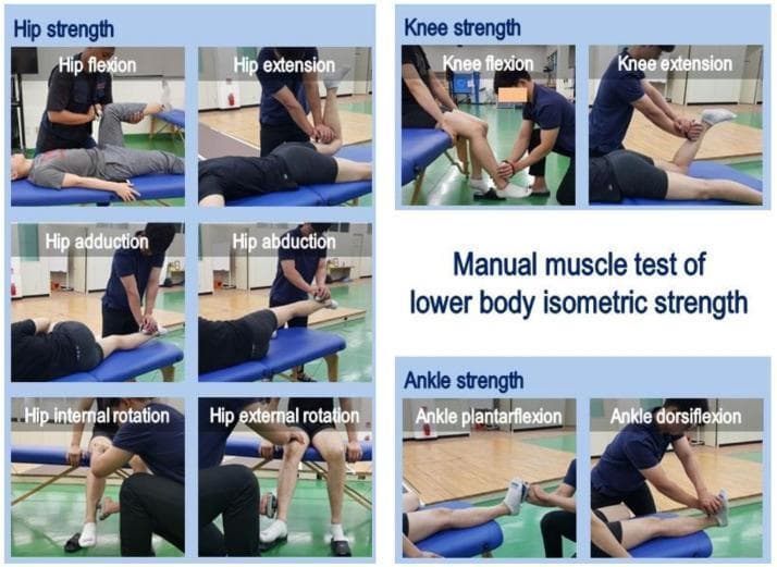 A composite of clinical photographs demonstrating manual muscle testing (MMT) for lower extremity isometric strength. The image is organized into three sections: hip, knee, and ankle strength. The hip section illustrates six movements: flexion (supine), extension (prone), adduction (side-lying), abduction (side-lying), and internal/external rotation (seated). The knee section shows flexion (prone) and extension (seated). The ankle section demonstrates plantarflexion and dorsiflexion (supine). In each frame, an examiner is shown applying manual resistance or using a hand-held dynamometer against the patient's limb to assess maximal isometric force. The photos emphasize proper patient positioning, limb stabilization, and examiner hand placement at specific anatomical landmarks (e.g., distal femur for hip flexion, proximal to the malleoli for hip abduction/adduction, and metatarsal heads for ankle movements). This visual guide is intended for clinical education in physical therapy, sports medicine, and orthopedic rehabilitation to standardize muscle strength assessment protocols.