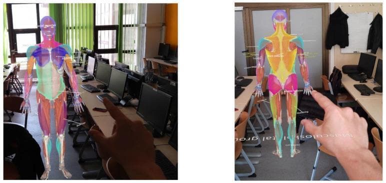 This image depicts an Anatomical Diagram of the human muscular system presented as a three-dimensional holographic projection via Mixed Reality (Microsoft HoloLens). The visual content features two panels showing anterior and posterior views of a life-sized human figure where major muscle groups are color-coded for educational identification. Key anatomical regions are distinguished by vibrant overlays: the pectoral and shoulder muscles are in shades of blue and purple, abdominal and core muscles are represented in green and white, while the lower extremities show thigh muscles in orange/red and lower leg groups in blue/teal. Interactive white labels and leader lines are positioned adjacent to specific muscles (e.g., facial muscles, gluteal muscles, hamstrings) to provide nomenclature context. The image illustrates advanced medical education tools designed for gross anatomy instruction, enabling students to visualize spatial relationships and morphology of the musculoskeletal system within a real-world classroom environment.