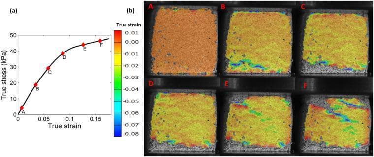 This composite educational graphic illustrates the mechanical properties and strain evolution of a mycelium-based biomaterial under uniaxial compression. Part (a) displays a true stress (kPa) versus true strain curve, identifying six specific points (A-F) that represent stages from linear elastic response to yielding and strain hardening. Part (b) presents a corresponding sequence of digital image correlation (DIC) maps for each point. These maps visualize the logarithmic normal strain distribution using a color-coded scale ranging from red (positive/low strain, ~0.01) to blue (significant negative strain, ~-0.08). The sequence demonstrates the progression from a uniform strain state (A) to the initiation of strain localization (B-C) and the final formation of distinct, diagonal 'collapse bands' (D-F). This illustrates how the stochastic, porous network structure of the mycelium fiber network leads to heterogeneous deformation and structural yielding, a key concept in biomaterial engineering and the study of biofoam mechanics for medical or structural applications.