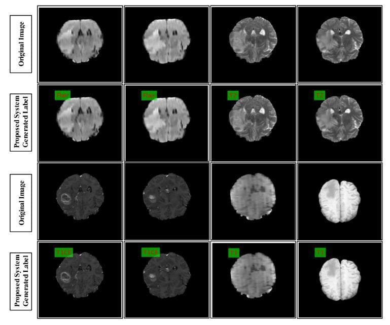 A comparison grid of diagnostic images displaying axial brain scans from Magnetic Resonance Imaging (MRI) datasets, specifically focusing on multimodal tumor classification. The image is organized into four rows alternating between 'Original Image' and 'Proposed System Generated Label.' The scans illustrate different MRI modalities including FLAIR, T2-weighted, T1-contrast enhanced (T1CE), and T1-weighted sequences. Visible pathology includes hyperintense lesions and edema in the FLAIR and T2 scans, indicating potential gliomas, and ring-enhancing or solid lesions in the T1CE slices. The 'Proposed System Generated Label' rows demonstrate the output of an automated classification algorithm, where specific sequences are identified by red text labels ('Flair', 'T2', 'T1CE', 'T1') overlaid on small green rectangular boxes in the upper left corner of each frame. The display highlights the visual similarities between modalities like FLAIR and T2, as well as the low-contrast challenges inherent in T1 sequences, emphasizing the system's role in automated pattern recognition for neuro-oncology.