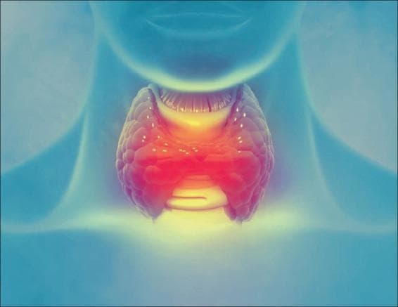 Anatomical diagram depicting the thyroid gland situated in the anterior neck, inferior to the larynx. The illustration utilizes a stylized, translucent blue silhouette of a human neck and torso as a background to provide anatomical context. The central focus is a bipedal, butterfly-shaped organ representing the thyroid gland, characterized by its right and left lobes connected by a central isthmus. The gland is rendered with a textured, lobulated surface and a vibrant color gradient ranging from deep red in the center to bright yellow at the superior and inferior margins, simulating metabolic activity or localized inflammation. Visible above the thyroid is the laryngeal prominence, and the tracheal rings are suggested beneath the isthmus. The image is designed for educational purposes to demonstrate the anatomical positioning of the thyroid gland within the endocrine system and its relationship to airway structures. It serves as a visual aid for discussions on thyroid disorders such as goiter, hyperthyroidism, or thyroiditis.