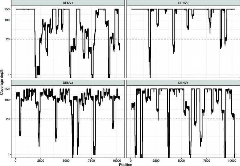 This figure presents a multi-panel comparison chart showing the Nanopore sequencing coverage depth for four Dengue virus serotypes (DENV1, DENV2, DENV3, and DENV4) isolated from clinical samples. Each panel plots the coverage depth (log scale, capped at 250X) on the y-axis against the genome position (0 to approximately 10,000 nucleotides) on the x-axis. A horizontal dashed line indicates a critical quality threshold of 20X read depth. The visualizations illustrate variability in amplification efficiency across the viral genomes using a multiplex PCR approach. DENV1 exhibits significant coverage fluctuations with multiple regions falling below the 20X threshold, particularly in the initial and middle segments. DENV2 and DENV4 show generally high coverage punctuated by sharp, localized drops (valleys) at specific genomic positions, such as near 2500, 5000, and 7500. DENV3 displays more consistent coverage overall but with frequent smaller oscillations. These profiles are essential for evaluating the accuracy of consensus sequences and identifying regions prone to sequencing gaps in clinical diagnostic and genomic surveillance workflows for Dengue fever.