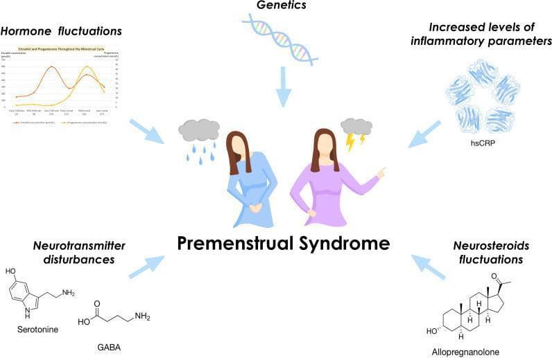 A pathophysiology diagram illustrating the multifactorial etiology of Premenstrual Syndrome (PMS). The central focus features two human figures depicting somatic and psychological symptoms, labeled 'Premenstrual Syndrome'. Surrounding this center are five key influencing factors: 1) Hormone fluctuations, shown via a graph of estradiol and progesterone levels throughout the follicular and luteal phases; 2) Genetics, represented by a DNA double helix; 3) Increased levels of inflammatory parameters, specifically high-sensitivity C-reactive protein (hsCRP) molecular structures; 4) Neurosteroid fluctuations, illustrated by the chemical structure of allopregnanolone; and 5) Neurotransmitter disturbances, depicted by the molecular structures of Serotonin and GABA. This educational graphic synthesizes hormonal, biochemical, and genetic contributors to the clinical manifestation of PMS, emphasizing the complex interplay between systemic inflammation, steroidal metabolites, and neurotransmission in reproductive health.