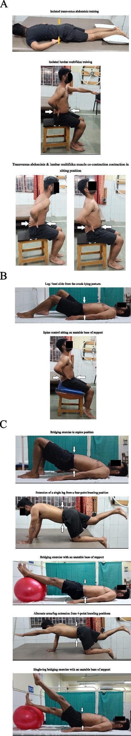 This composite educational clinical photograph illustrates a three-stage progression (A, B, and C) of motor control exercises (MCE) for lumbar stabilization, commonly used in the rehabilitation of chronic low back pain. Section A demonstrates 'Isolated Training,' featuring the abdominal drawing-in maneuver for transversus abdominis activation in supine and seated positions, and lumbar multifidus activation in sitting. Section B illustrates 'Light Dynamic Functional Tasks,' including heel slides in a crook-lying posture and spinal control exercises on an unstable seated base of support. Section C details 'Heavy Dynamic Functional Tasks' involving increased gravitational load and instability; exercises include supine bridging, bridging with an exercise ball (unstable base), quadruped (four-point kneeling) single-leg extensions, 'bird-dog' alternate arm/leg extensions, and advanced single-leg bridging on an exercise ball. Arrows indicate the intended direction of muscle contraction and spinal alignment. The progression emphasizes moving from static, local muscle activation to dynamic, global muscle integration with varying bases of support and limb involvement.