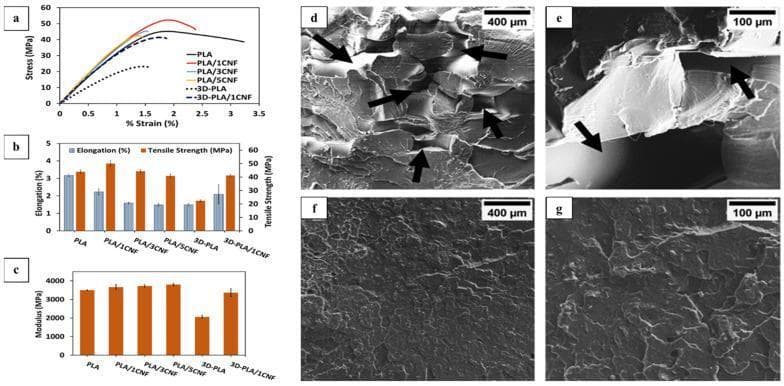 This composite educational graphic illustrates the mechanical and morphological properties of 3D-printed polylactic acid (PLA) and cellulose nanofiber (CNF) composites, materials frequently investigated for biomedical applications such as tissue engineering scaffolds and orthopedic implants.
Panels (a-c) present quantitative mechanical data. A tensile stress-strain curve (a) compares compression-molded versus 3D-printed variants, highlighting differences in tensile strength and elongation. Histograms (b-c) detail elongation (%), tensile strength (MPa), and Young's modulus (MPa), demonstrating that 1% CNF reinforcement enhances the mechanical robustness of 3D-printed structures.
Panels (d-g) show Scanning Electron Microscopy (SEM) micrographs of tensile fracture surfaces. Micrographs (d) and (e) (magnifications x150 and x600) show neat 3D-printed PLA, characterized by visible voids and overlapped structures (arrows) indicating lower structural integrity. In contrast, micrographs (f) and (g) display 3D-printed PLA/1% CNF composites, revealing a more uniform, densely packed morphology with fewer structural defects. These visuals demonstrate how nanocellulose integration improves the microstructural bonding and mechanical performance of biocompatible 3D-printed constructs.