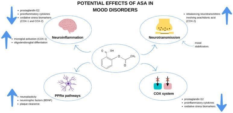 This pathophysiology diagram illustrates the potential mechanisms of action for Acetylsalicylic Acid (ASA) in the treatment and prevention of mood disorders. The central element is the chemical structure of ASA, which branches out to four key neurological and immunological domains. 1) Neuroinflammation: ASA is associated with decreased levels of prostaglandin E2, proinflammatory cytokines, and oxidative stress biomarkers (COX-1/COX-2), while potentially influencing microglial activation and oligodendroglial differentiation. 2) COX System: The diagram depicts the direct inhibition of cyclooxygenase enzymes, leading to a downstream reduction in inflammatory mediators. 3) Neurotransmission: The visual indicates a role in rebalancing neurotransmitters via the arachidonic acid pathway (COX-2), interacting with mood stabilizers. 4) PPARα Pathways: ASA is shown to enhance neuroplasticity, brain-derived neurotrophic factor (BDNF) levels, and plaque clearance. Directional arrows signify the increase or decrease of specific biological processes and molecular markers, summarizing how ASA acts as a multi-target modulator within the central nervous system to alleviate symptoms of depression and bipolar disorder.