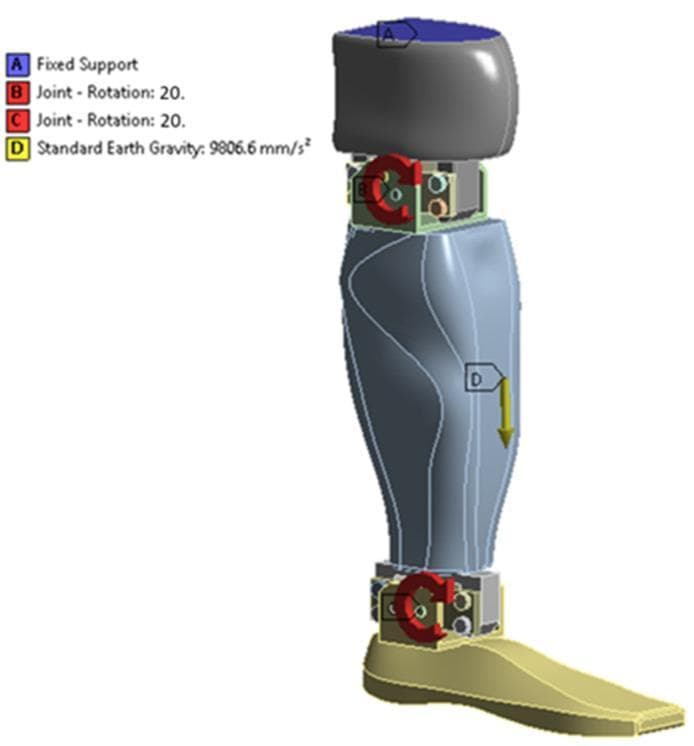 This medical engineering diagram illustrates the biomechanical modeling and boundary conditions of a bionic lower limb prosthesis. The 3D geometric model is segmented into a dark gray upper knee mount, a contoured light blue calf component, and a tan-colored anatomical foot plate. The image depicts a finite element analysis (FEA) setup with specific load parameters. A blue marker 'A' indicates a 'Fixed Support' at the proximal interface. Red circular arrows 'B' and 'C' designate the mechanical rotational joints at the knee and ankle, respectively, both set with a 20-degree rotation limit to simulate physiological range of motion. A yellow downward arrow 'D' represents standard earth gravity (9806.6 mm/s²) acting upon the calf segment. This visualization is intended for orthopedic and rehabilitative engineering education, focusing on the dynamic characteristics and neural control development for advanced limb replacement systems using biomimetic principles and additive manufacturing materials.
